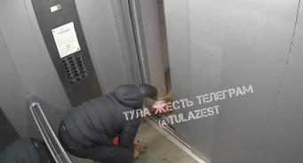 Мужчина избил собак в лифте в Туле