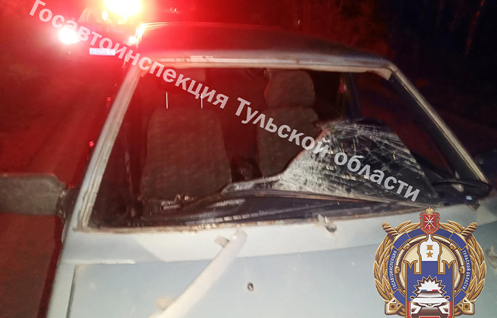 Пьяный водитель насмерть сбил пешехода в Веневском районе