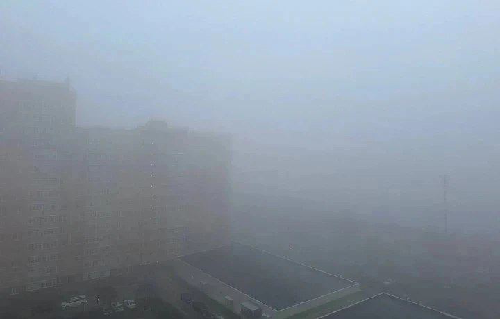 Тульских водителей предупредили о тумане в ночные и утренние часы 23 октября