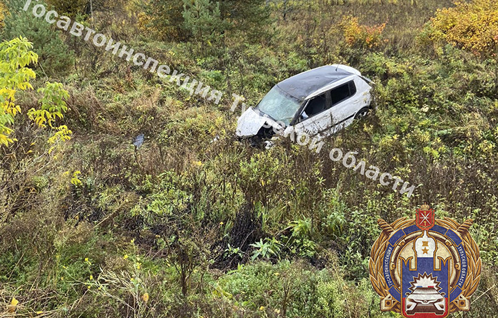 Пьяный водитель при обгоне вылетел в кювет и опрокинулся в Тульской области