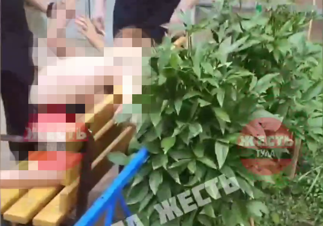 Зима крестьянин на дровнях обновляет путь. Полиция чернь тульская область. Жители тулы. Как жители тулы пытались узнать в чем. Как жители тулы пытались узнать в чем.