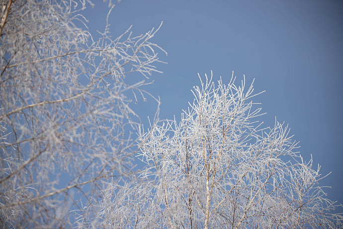 23 февраля в Тульской области ожидается до -18 градусов