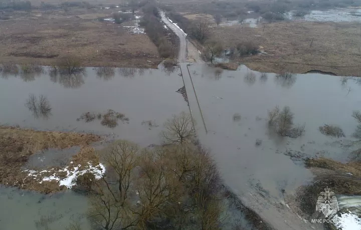 В Тульской области затоплены 12 мостов и 6 дорог