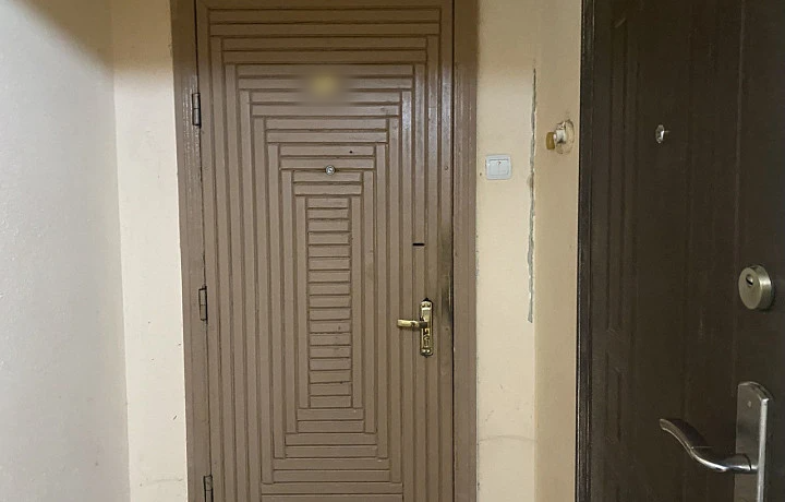 Квартиру в Туле, где были заперты собаки, вскрыли: два пса съели щенков и умерли от голода