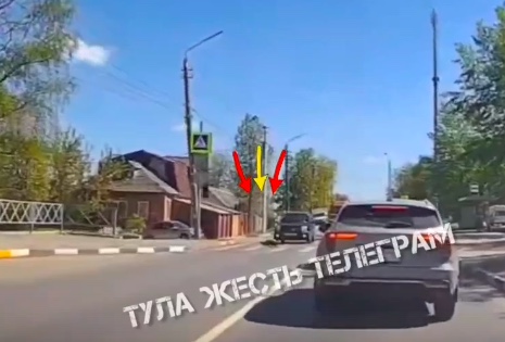 Енот с улицы Кутузова в Туле ищет дом