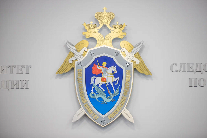 В Дубенском районе мужчина убил знакомого, сделавшего ему замечание