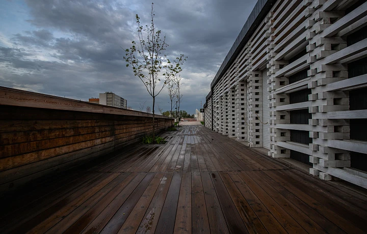 Туляков предупредили о пасмурной погода 9 и 10 августа