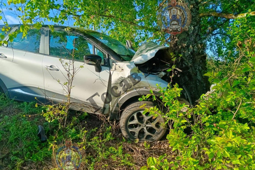 Под Тулой Renault слетел в кювет и врезался в дерево: два человека попали в больницу