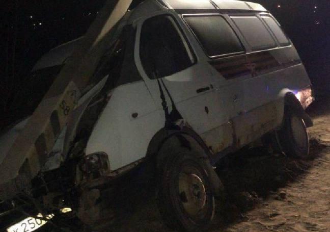 Микроавтобус под Тулой врезался в столб