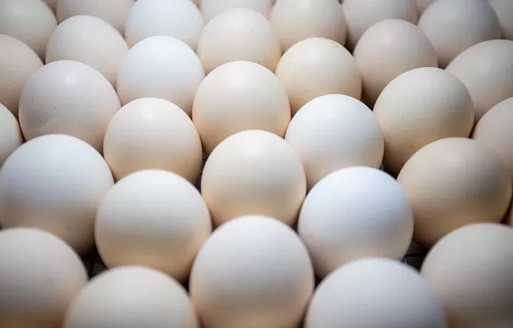 Минсельхоз РФ подтвердил прогноз по снижению цен на яйца после Нового года