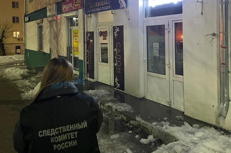 В Туле на улице Дмитрия Ульянова наледь рухнула на 15-летнюю девочку