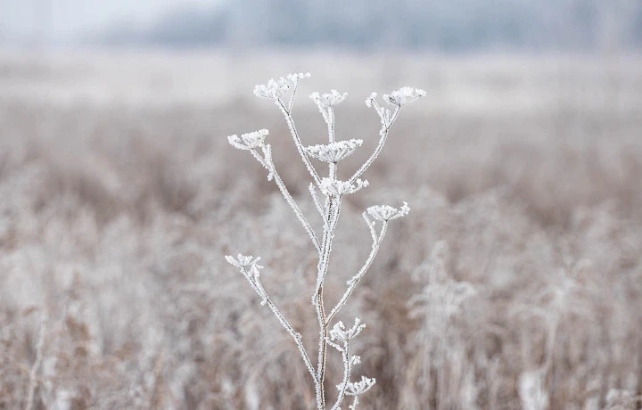 В Тульской области 30 января прекратится снегопад, но похолодает до -18 градусов