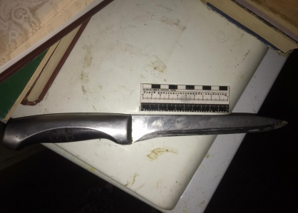 Трагедия в общежитии Ефремова: жена кухонным ножом убила мужа во время ссоры