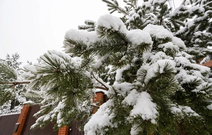 В Тульской области ожидается умеренно морозная погода : синоптик Ильин рассказал, какая погода ждет туляков с 19 по 23 января