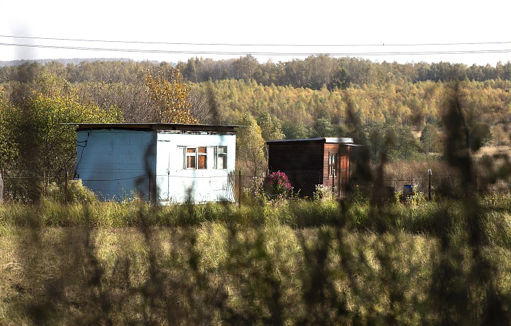 Дачникам разрешили срывать плоды с соседских деревьев, посаженных за забором участка