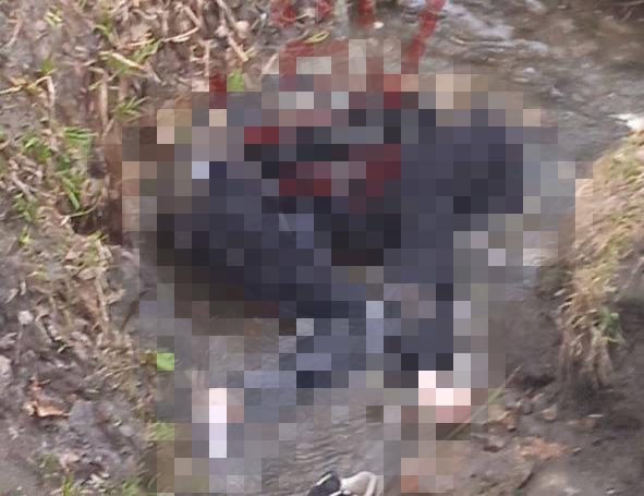 В Новомосковске нашли труп у детского парка