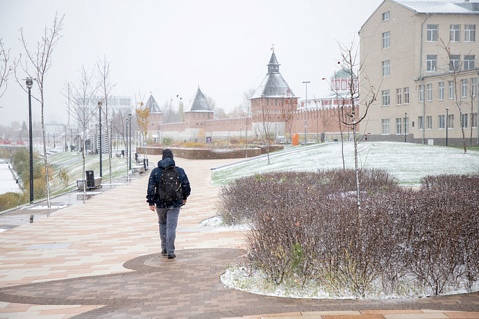 Метель, заморозки и оттепель: В Туле ожидаются снегопады и «барическая пила»