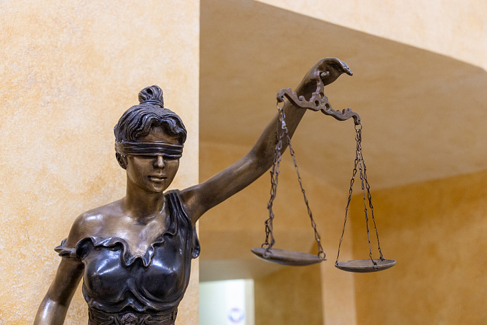 Суд оштрафовал дончанина за демонстрацию экстремисткой символики