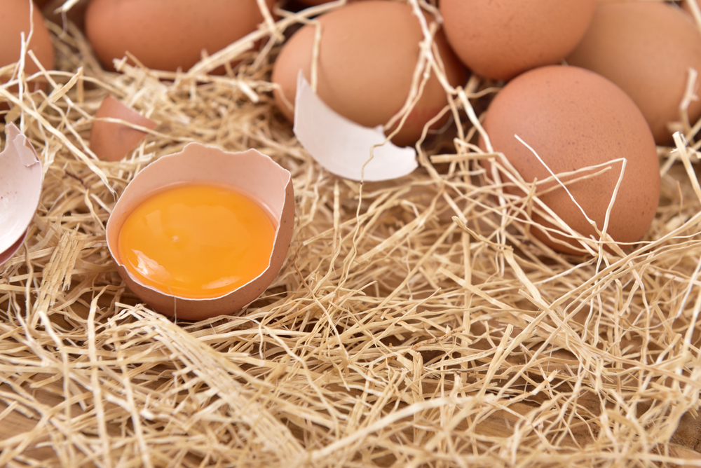 ФАС проводит контроль цен на яйца в крупных торговых сетях