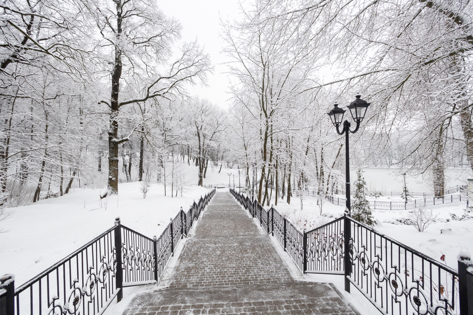 1 января в Центральной России похолодает до -15 градусов