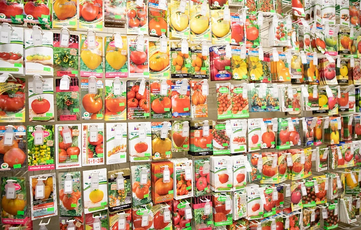 В Тульской области продавались семена, не внесенные в Госреестр