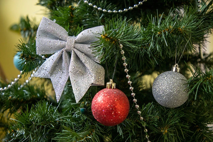 В Тульской области установили порядок вручения льготных билетов на новогодние елки