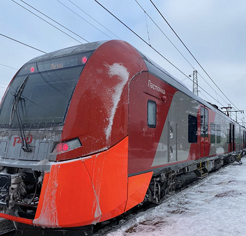 В Тульской области девушка попала под поезд
