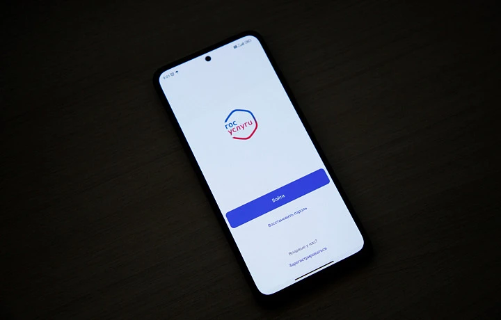 На «Госуслугах» появился реестр злостных неплательщиков алиментов