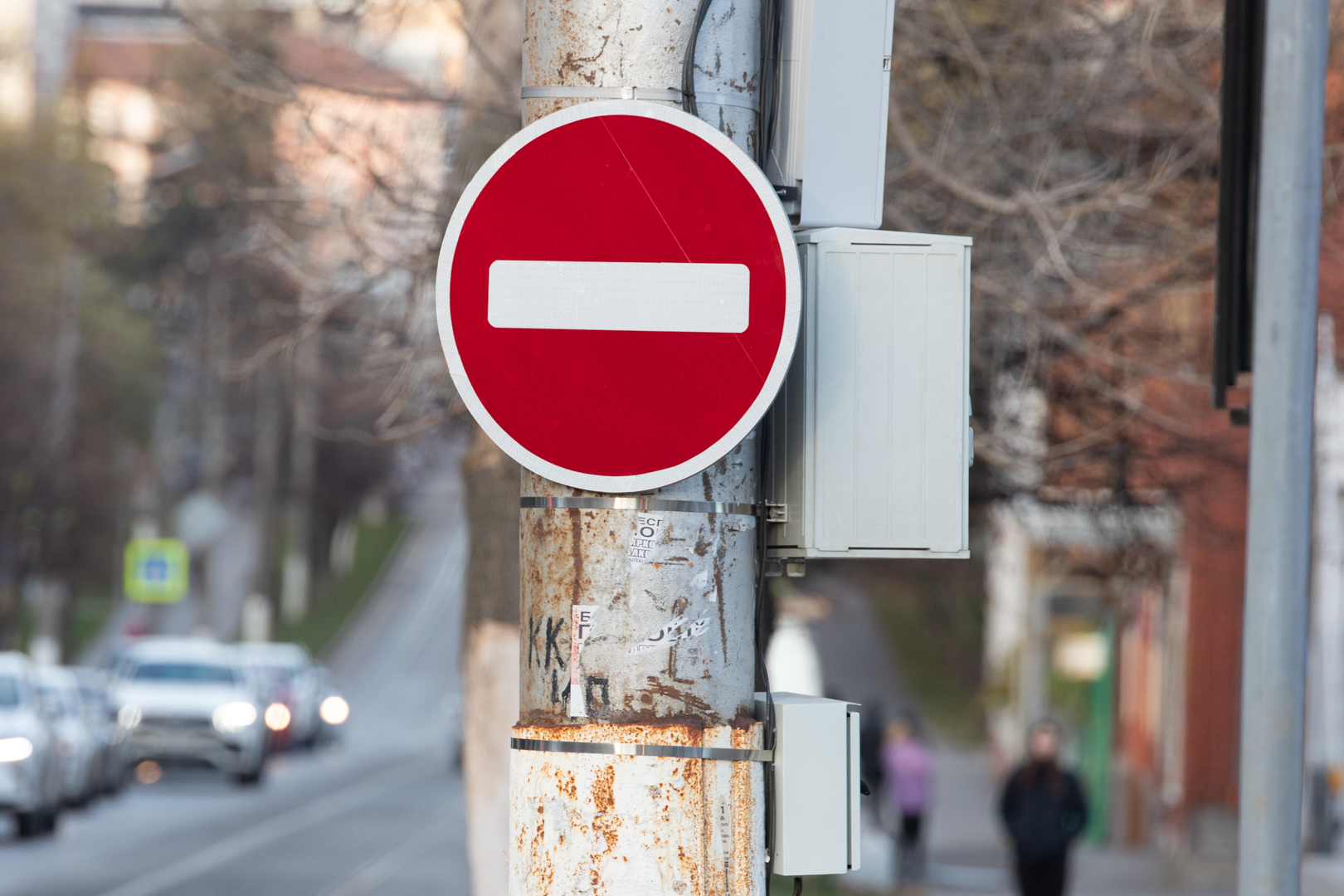 В Туле на время опиловки деревьев перекроют проезд по улице Галкина