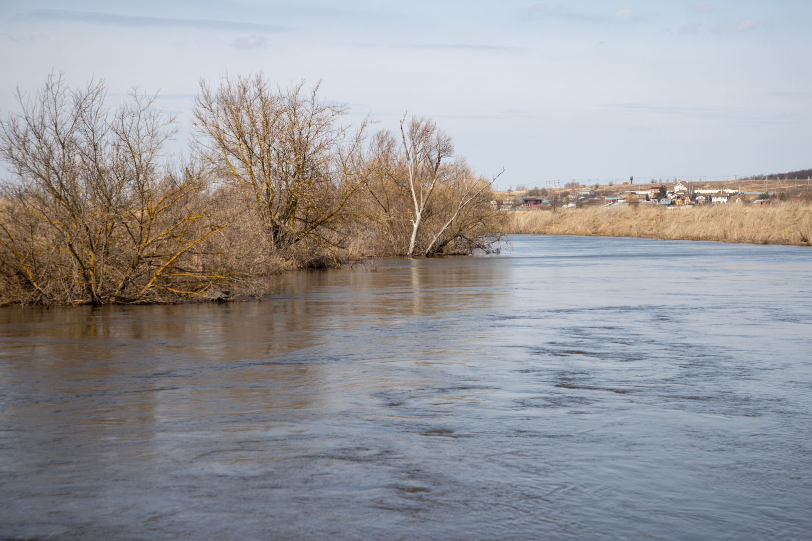 Ока в алексине сегодня. Река в Алексине Тульской области. Разлив Оки в Алексине. Вода река. Река в Туле.