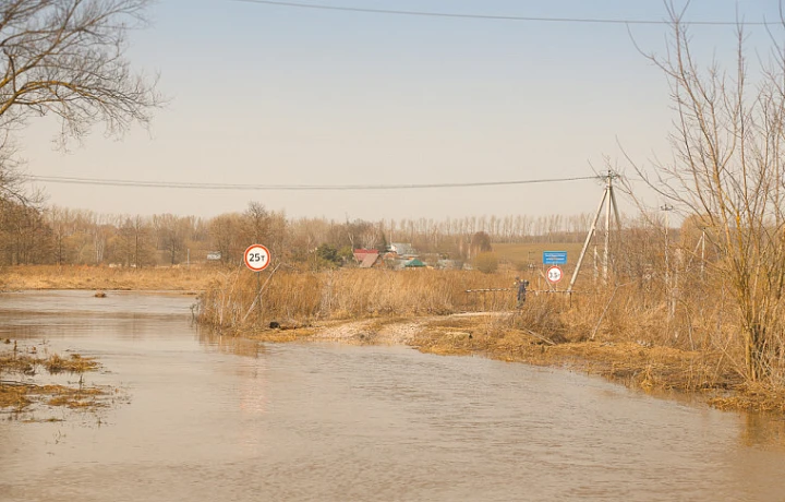Мост в тульской деревне Прилепские Выселки освободился от воды: движение восстановлено