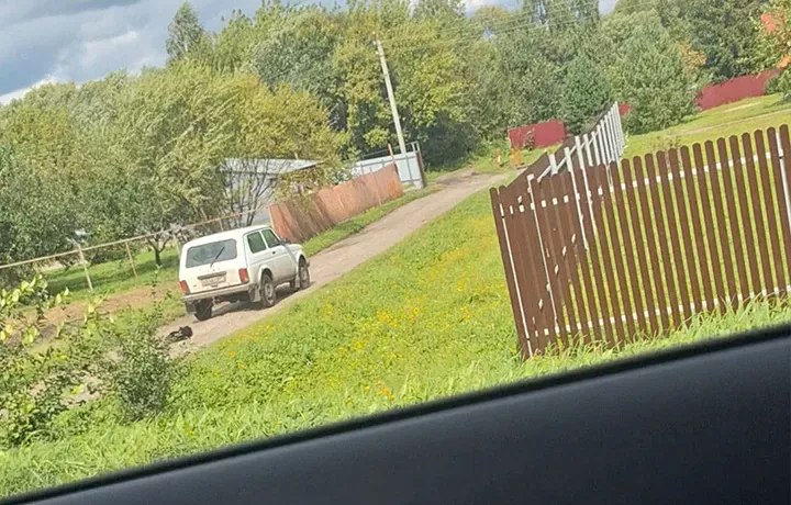 На мужчину, который таскал по улицам Богородицка привязанную к машине собаку, составили административный протокол