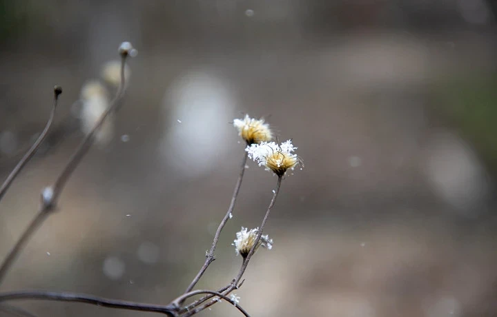 Теплая погода задержится в Тульской области до конца осени