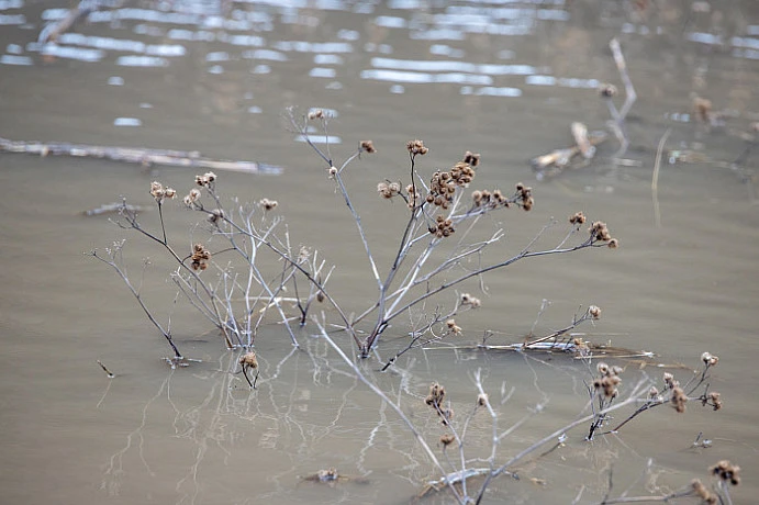 В Тульской области остались подтопленными 12 низководных мостов