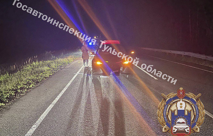 Водитель на Changan насмерть сбил пешехода в Туле