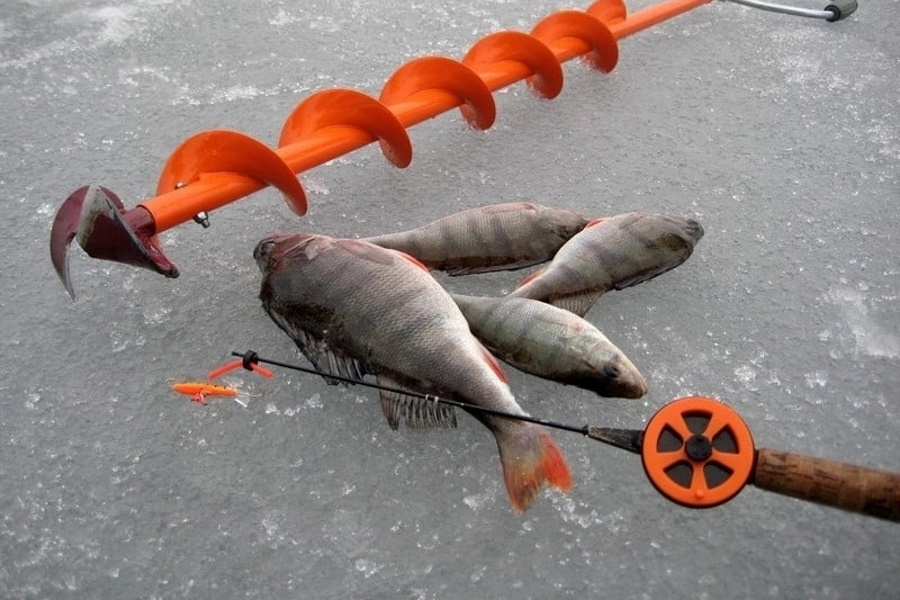 В Новомосковске проведут соревнования по спортивной ловле на мормышку со льда