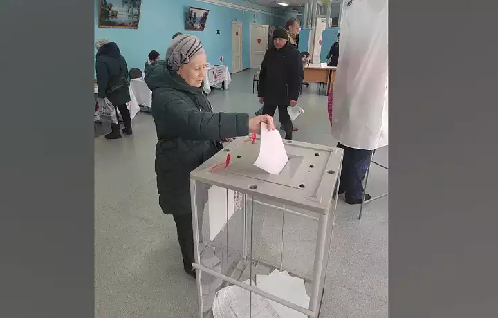 Явка на выборах в Тульской области по данным на 15 часов 17 марта составила 69,76%