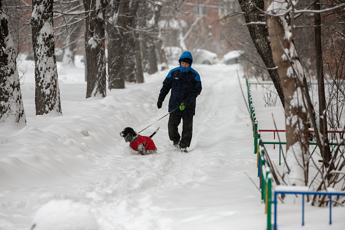 Тула заняла 18-е место в рейтинге российских городов по качеству жизни