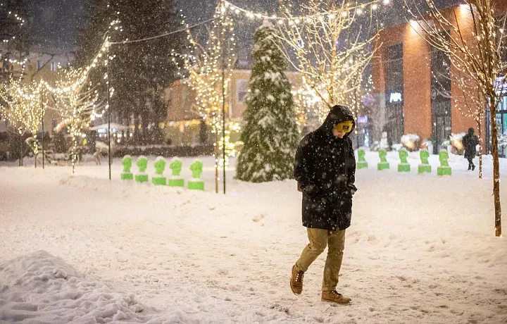 Жителей Тульской области предупредили о гололёде и сильном ветре 15 ноября