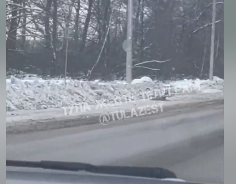 В Тульской области водитель сбил косулю