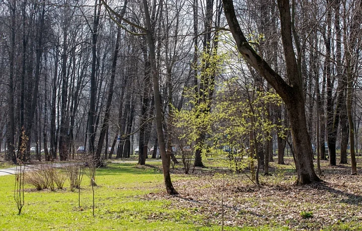 В Туле 1 апреля 2024 года стало самым жарким за последние четыре десятилетия