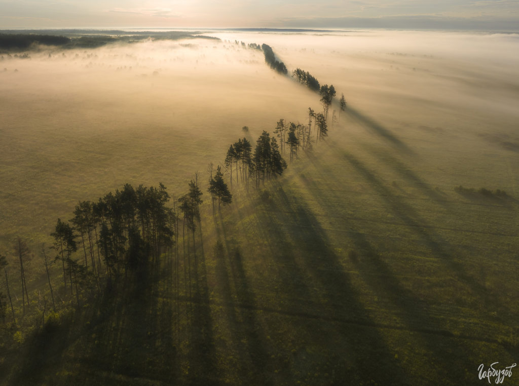 Фото: Илья Гарбузов