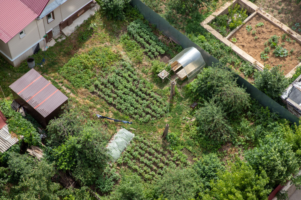 IMG_0516.jpg IMG_0516.jpg