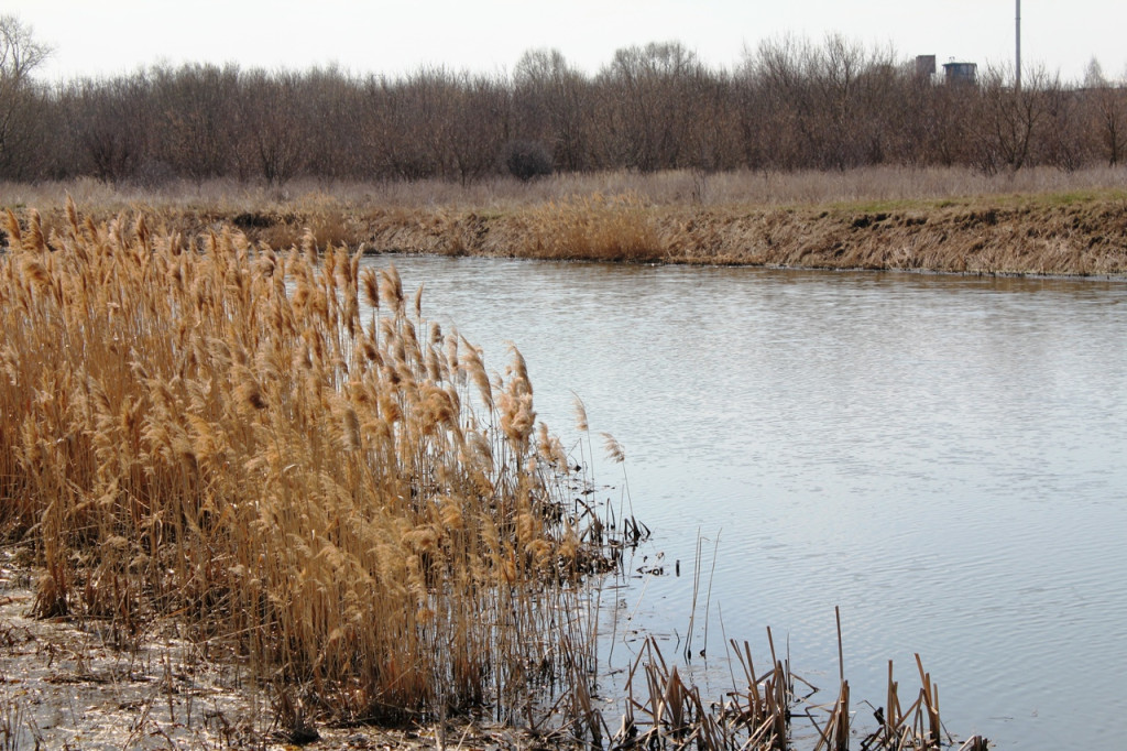 река Дон в Епифани.jpg река Дон в Епифани.jpg