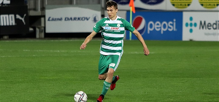 левин богемианс.JPG