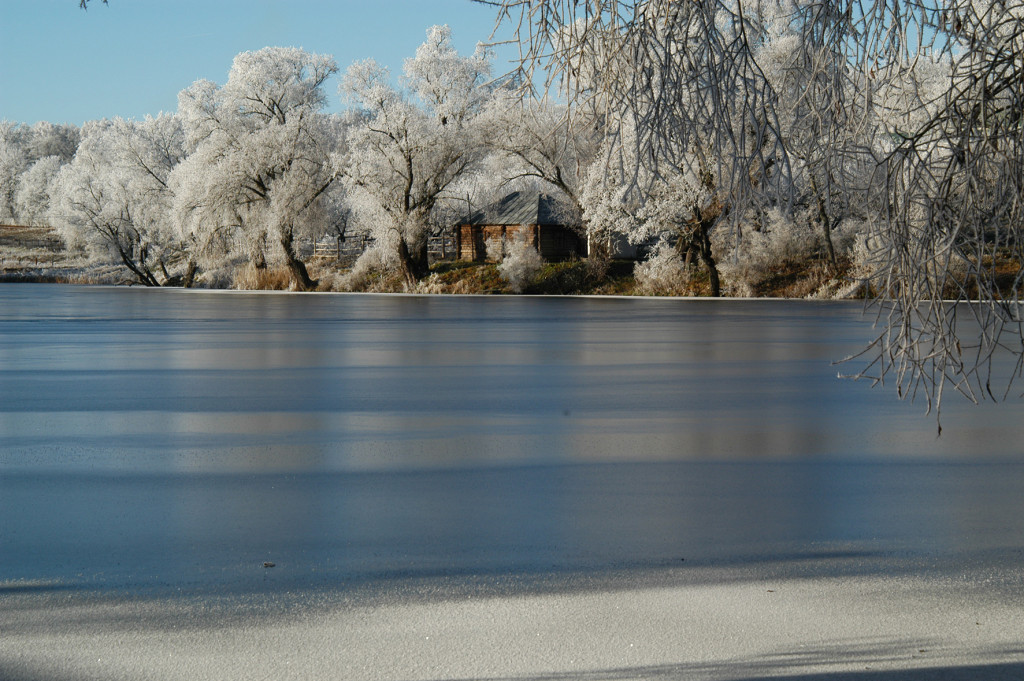 Большой пруд_2003 г..jpg