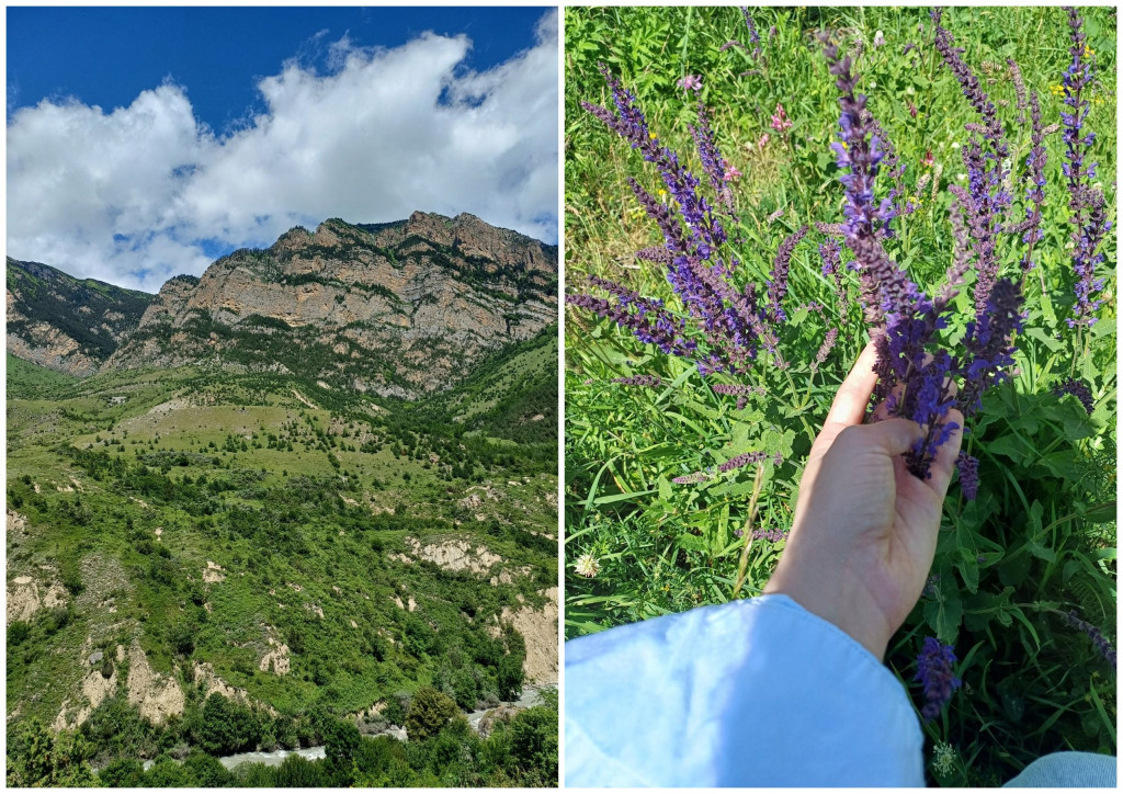 Горная Дигория.jpg
