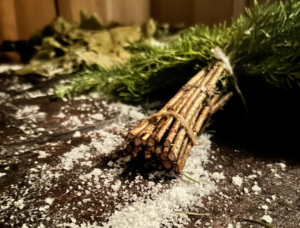 анна орлова.png