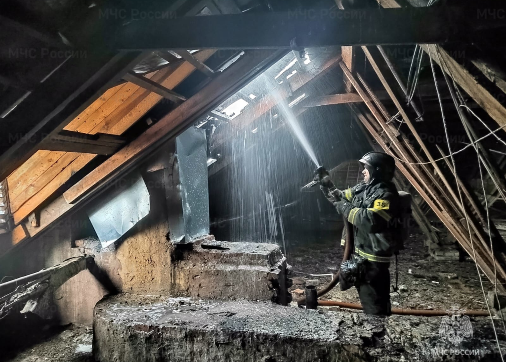 изображение_2023-03-29_172849702.png Фото: ГУ МЧС России по Тульской области