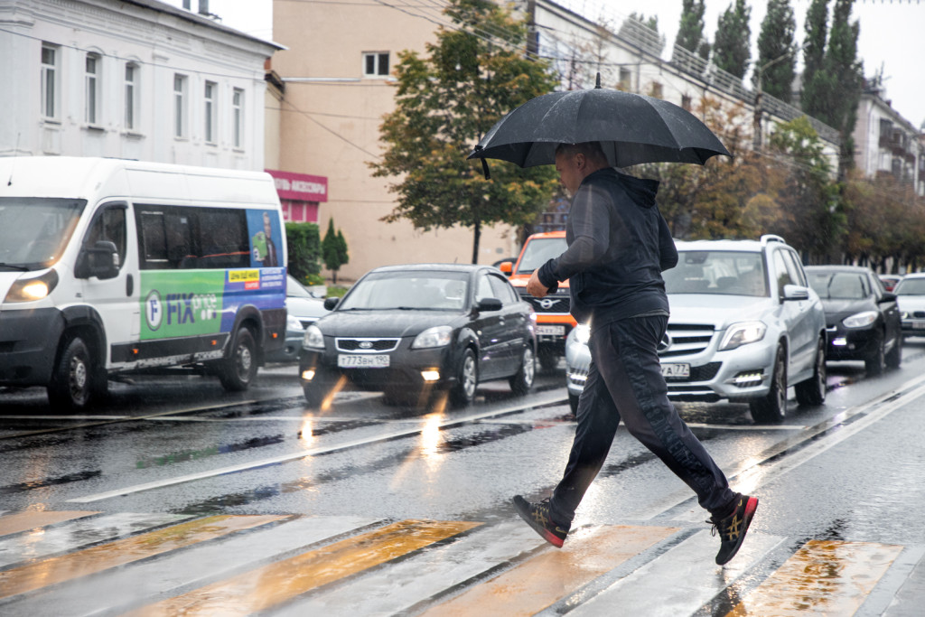 Дожди будут кратковременными / Тульская служба новостей